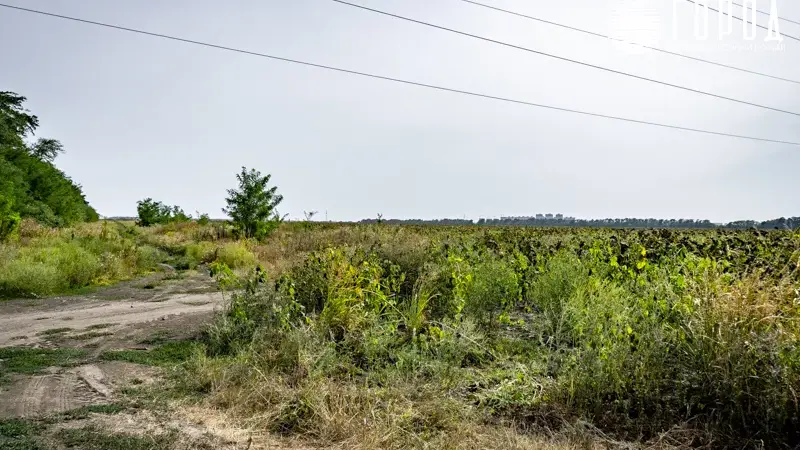 Земли под аэропорт Пашковский изымают в Краснодаре