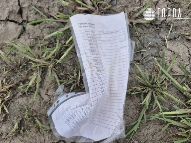 На платной трассе А-289 продают дорогой бензин и переполнены туалеты На трассе А-289 продают дорогой бензин и переполнены туалеты
